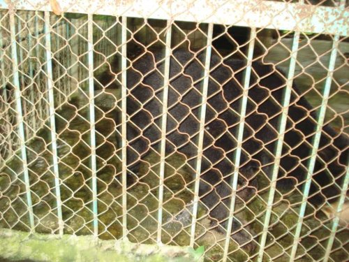 DSC03794_1